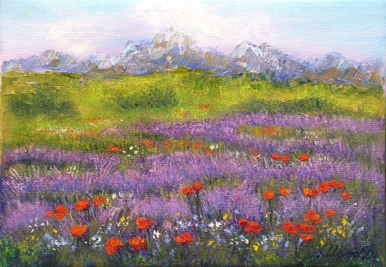 Lavender landscape