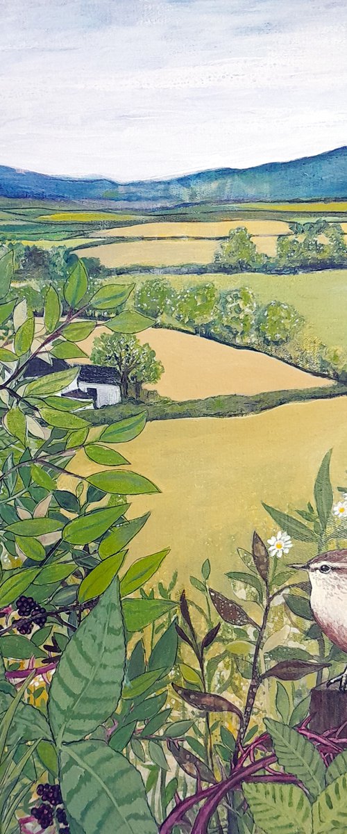 Wrens' View by Carolynne Coulson
