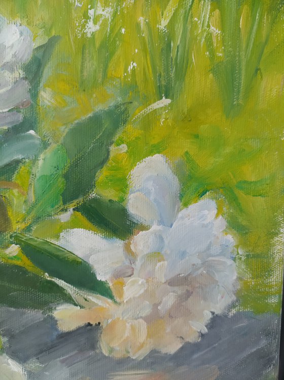 Peonies on the bench