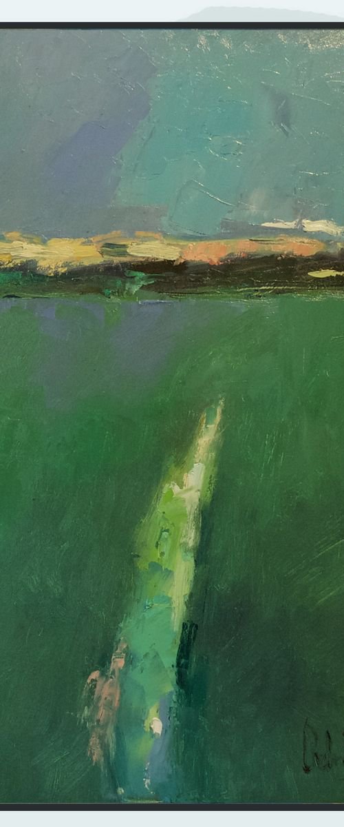 Mossy Stream in Field by Andre Pallat