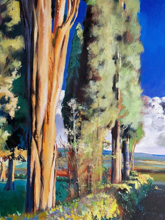 Montalcino 4