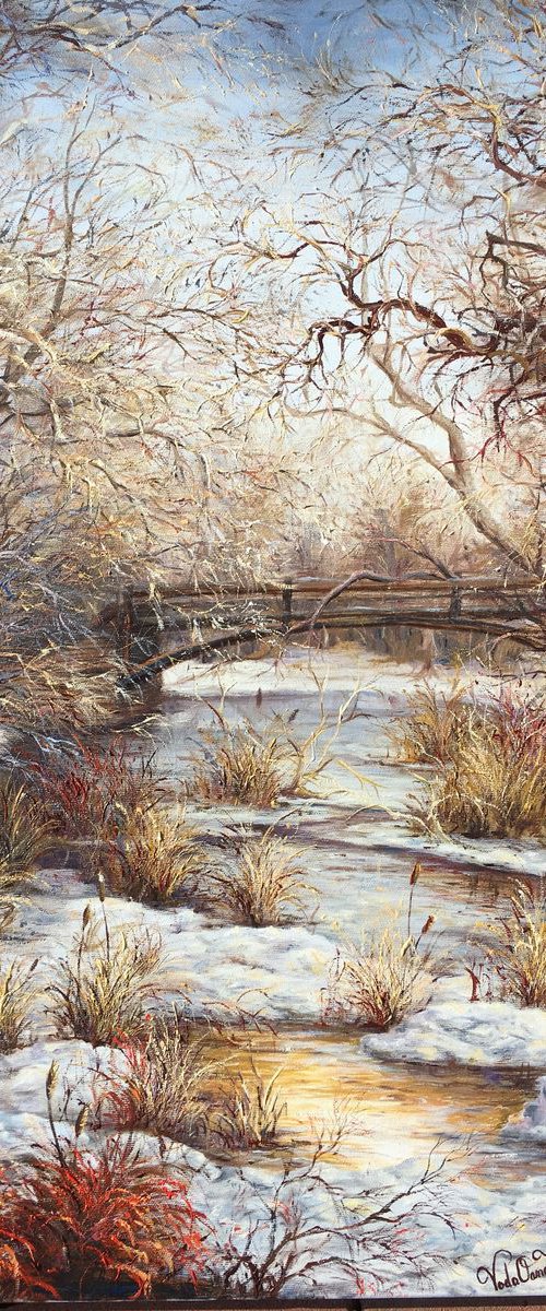 Colours in winter by oana voda