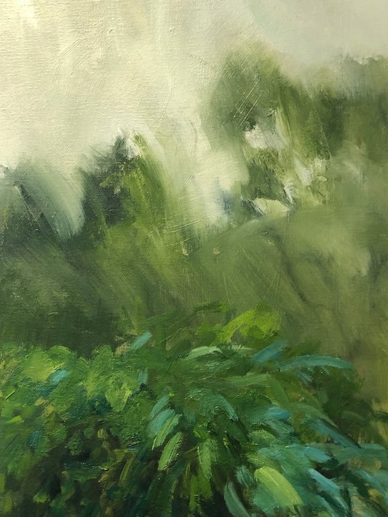 Rain Drenched