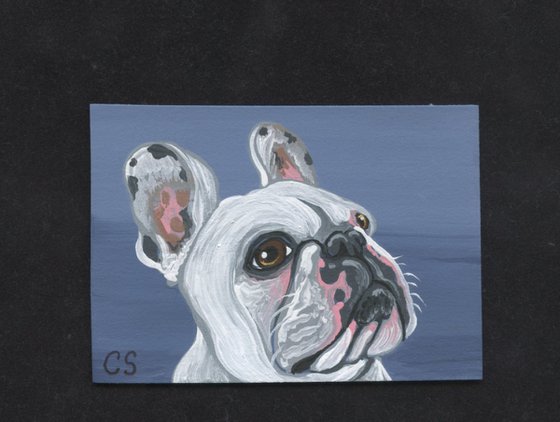 ACEO ATC Original Miniature Painting French Bulldog Pet Dog Art-Carla Smale