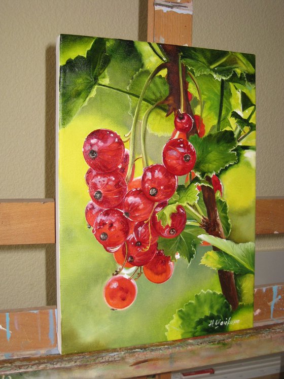 Redcurrants in Garden Light