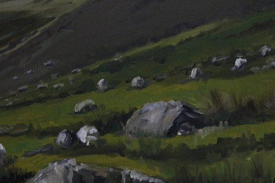 Sheep on a Snowdonia hillside
