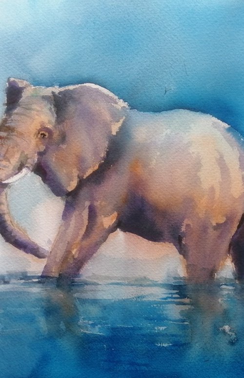 elephant 25 by Giorgio Gosti