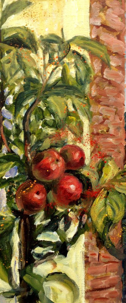 Small apple tree by Elena Sokolova