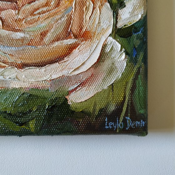 Cream rose original oil painting mini still life 6x6''