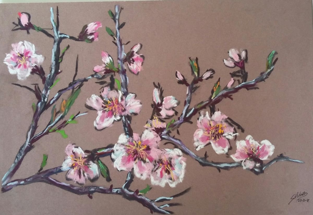 Almond tree flowers. by Silvia Flores Vitiello