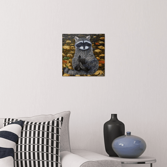 Raccoon