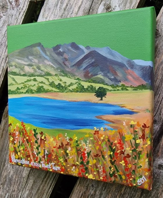 Blencathra across Tewet Tarn