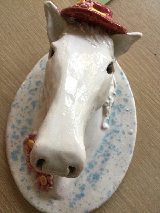White horse with hat, Miss Daisy