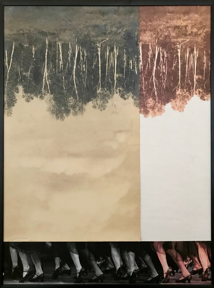 Abstract Collage By Kim Triedman, 13 X 17", The Overstory, Original Artwork