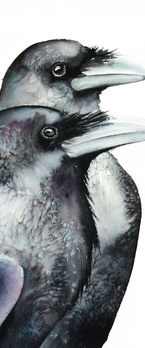 Raven 30x40cm, wildlife watercolours by Karolina Kijak