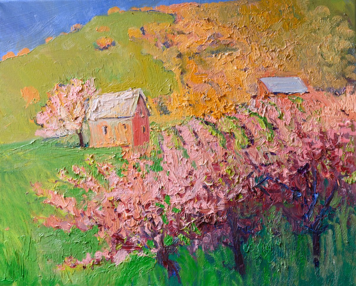 Spring in the Mountains, Blooming Almond Trees by Suren Nersisyan