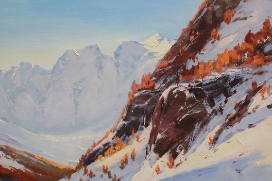 In the rays of the winter sun