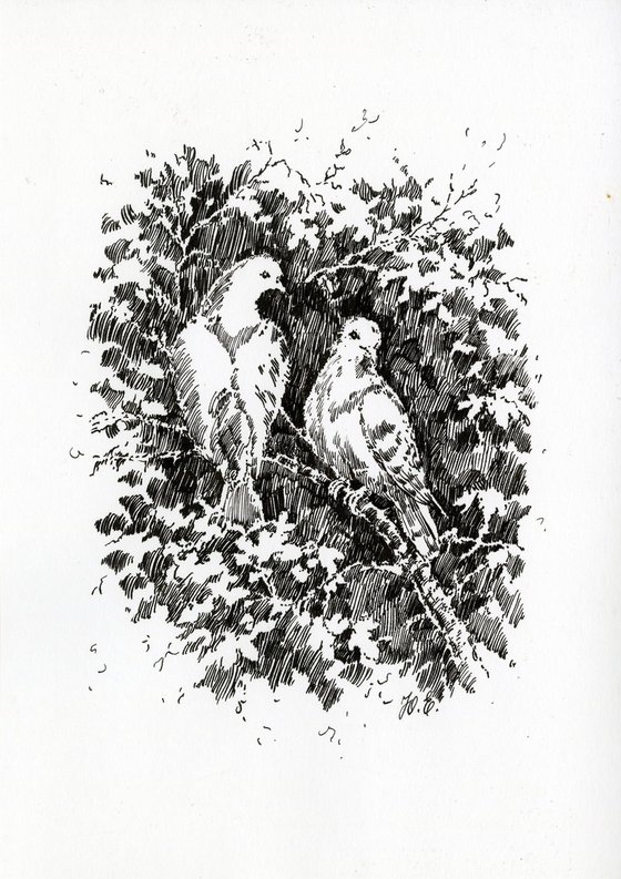 Doves on a Branch