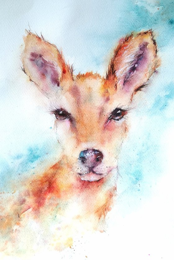 Deer