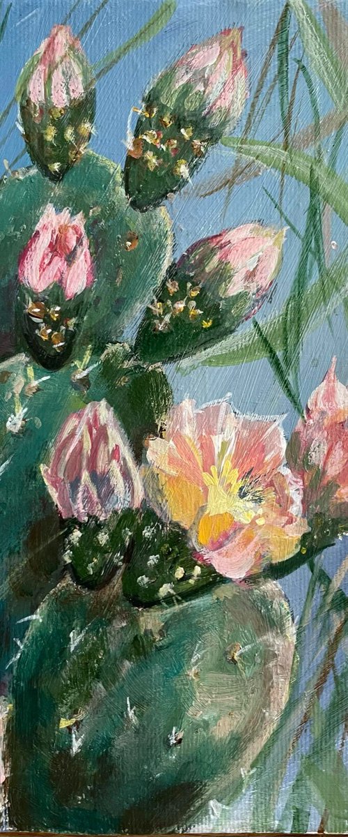 Prickly pear - II by Nadya  Peovska