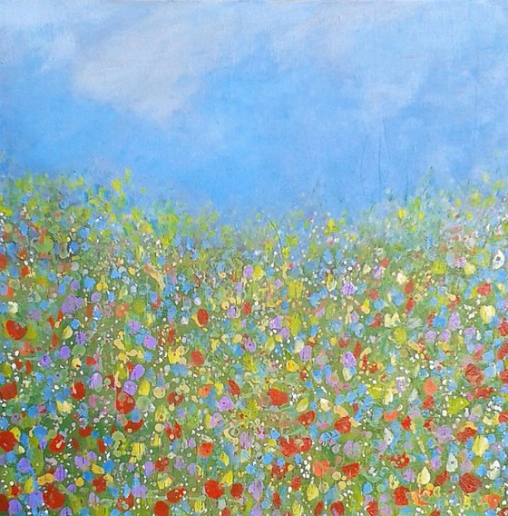 Spring Meadow Flowers