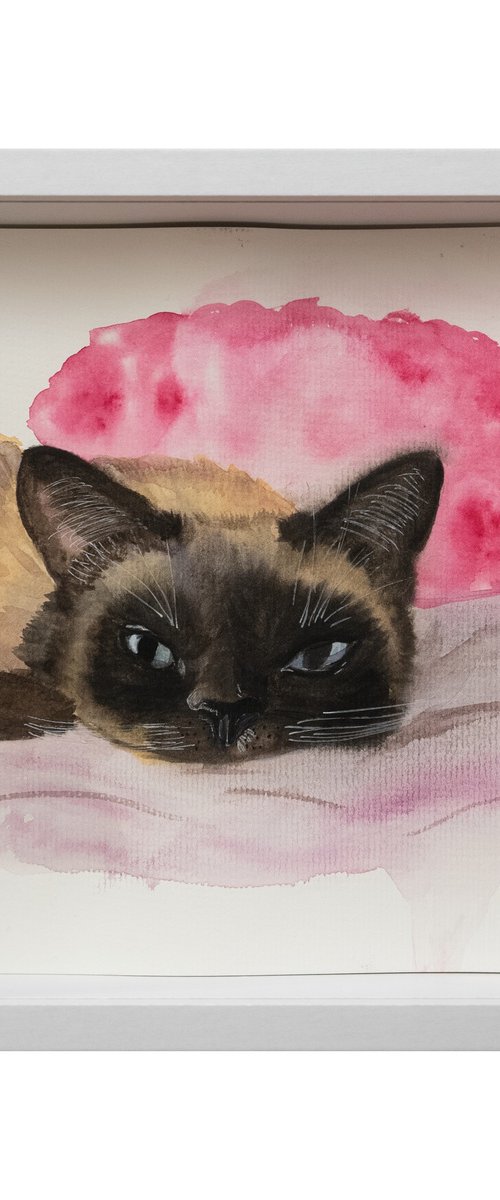 Cozy Siamese Cat by VICTO