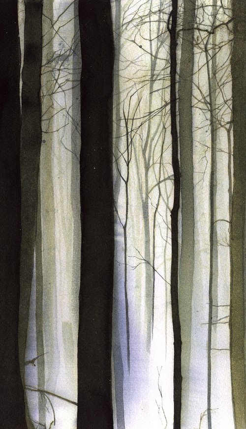 Forest in fog by REME Jr.