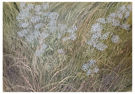 Among the Grasses