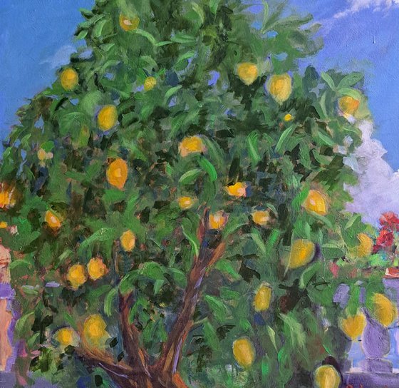 The lemon tree