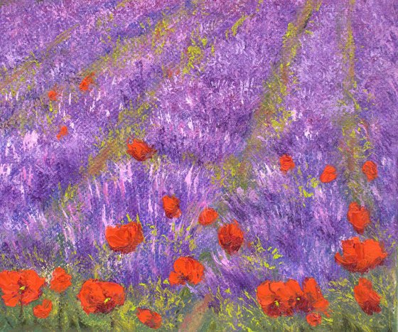 Lavender and poppies