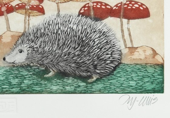 Hedgehog Etching / Engraving by Mariann Johansen-Ellis | Artfinder