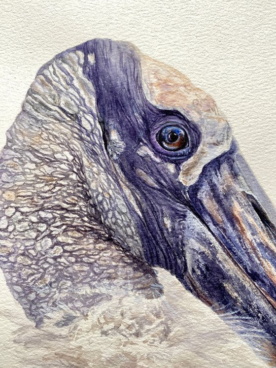 Wood Stork Watercolor Portrait