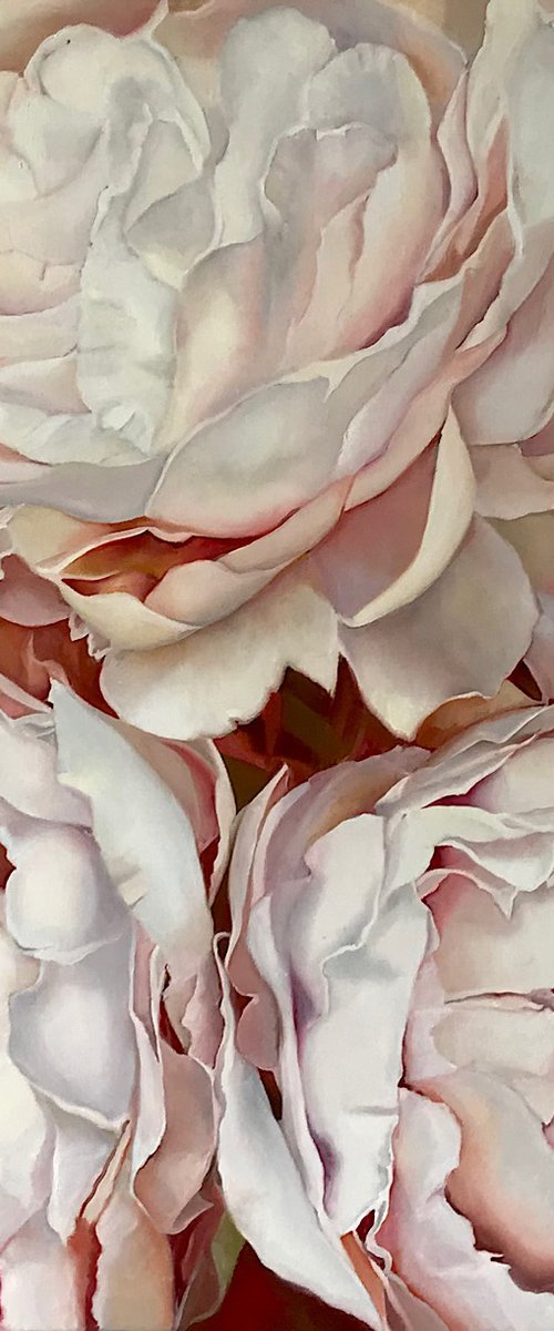 White peonies by Natalia Lugovskaya