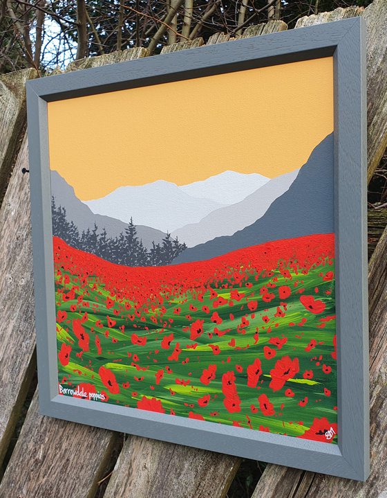 Borrowdale Poppies, The Lake District