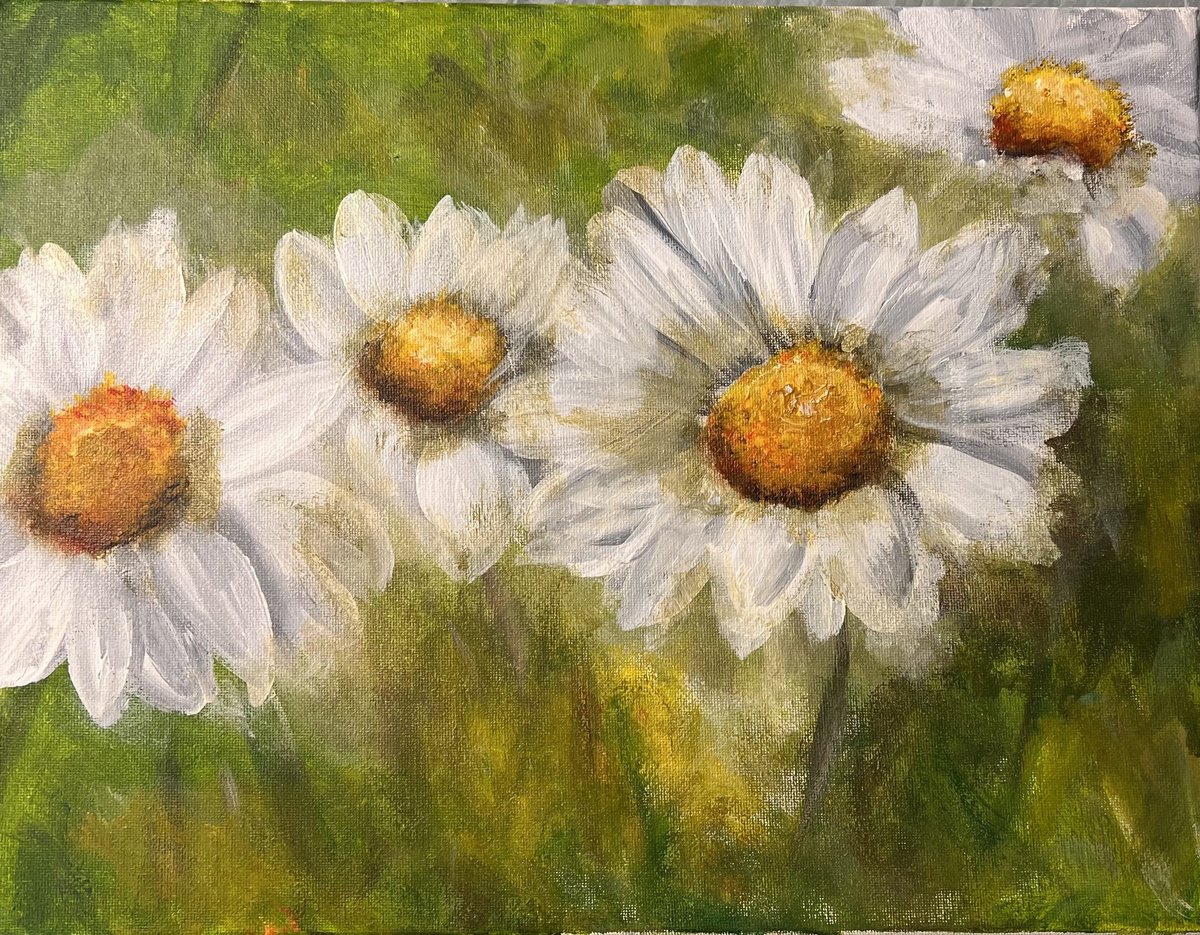 4 Daisies by Carolyn Shoemaker (Soma)