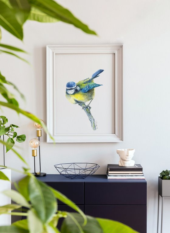 Blue Tit in watercolor