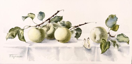 Stillness in the Garden