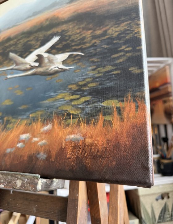 Swan lake
