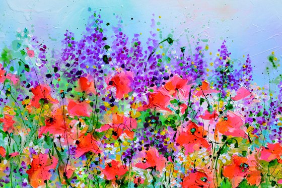 Wild Red Poppy, Poppies Field