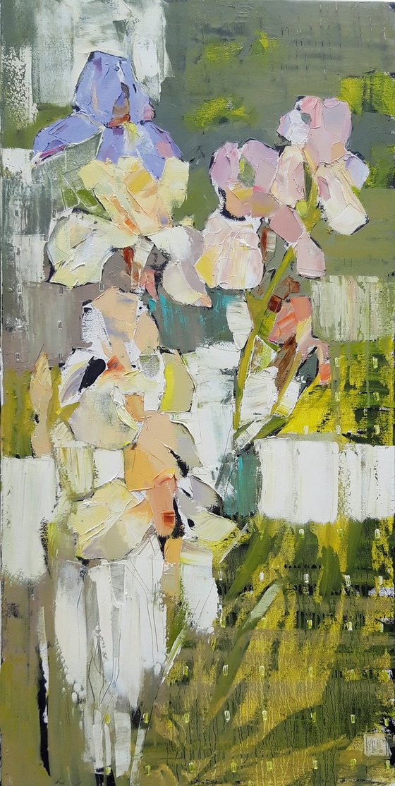 Light of irises