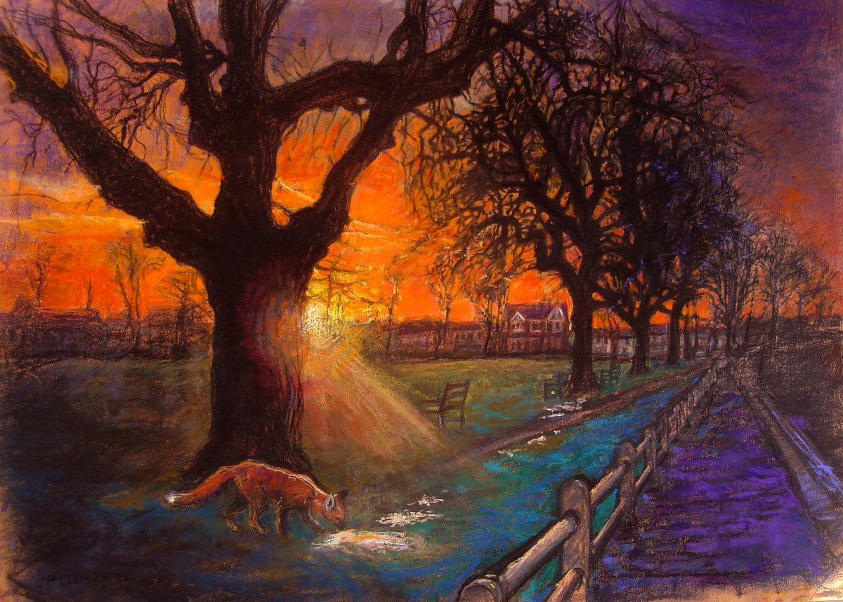 Fox at Sunset by Patricia Clements