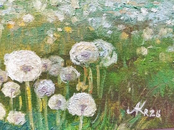 Landscape with dandelions