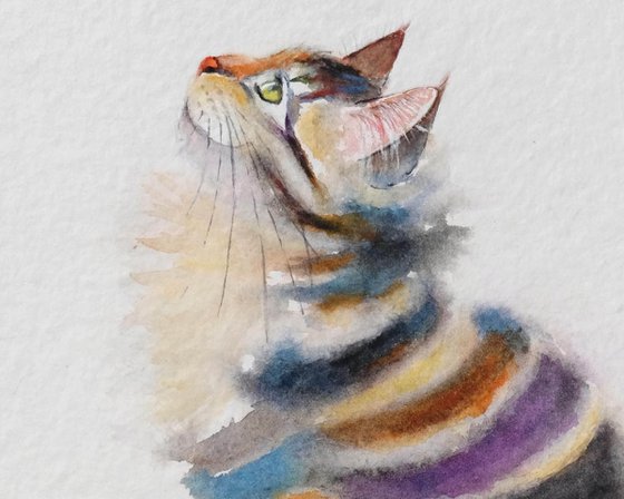 Miss Stripes - Tabby Cat