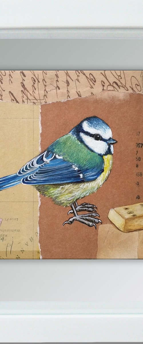 The blue tit's breakfast by Carolynne Coulson