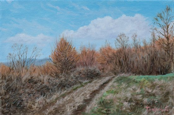 Falcon Hill