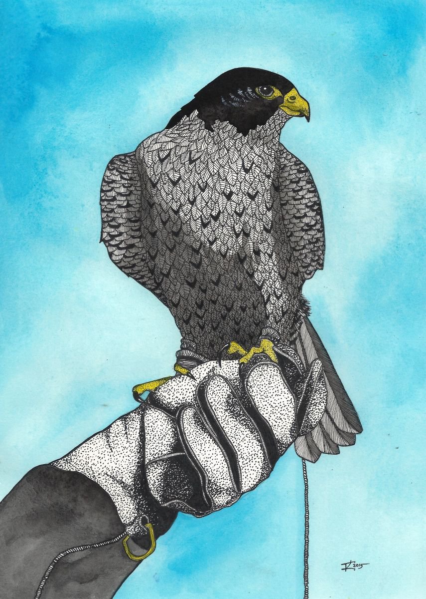 Falconry by Terri Kelleher