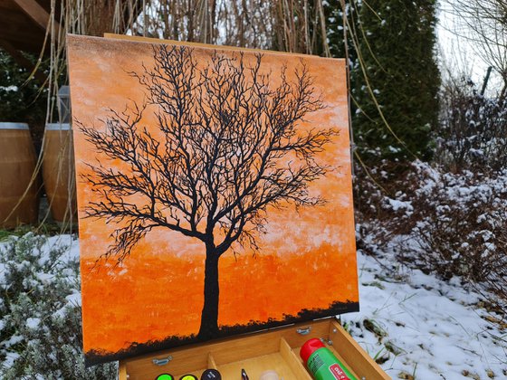 Orange sunset