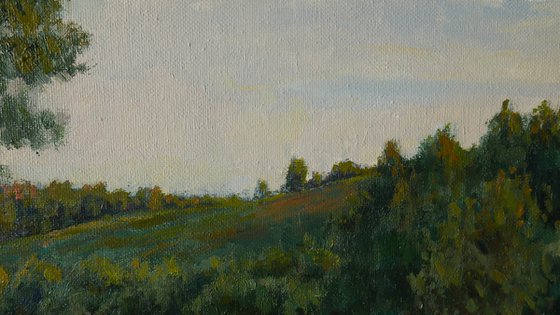 The Summer Evening - summer landscape painting