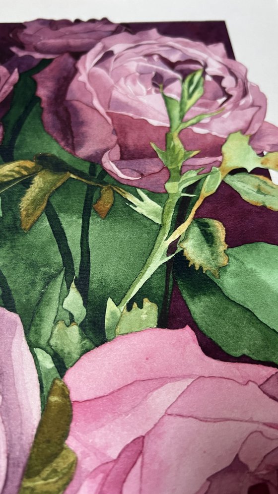 7 Pink Roses