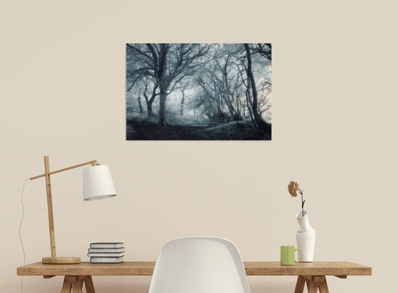 Infrared Idless Woods